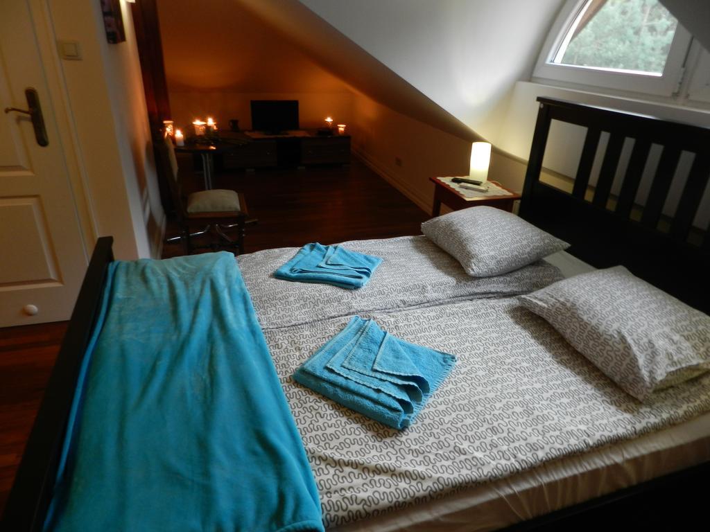Pensjonat U Alexa Załuski Habitación foto
